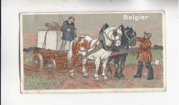 Actien Gesellschaft  Pferde Rassen Belgier       Serie  67 #5 Von 1900 - Stollwerck