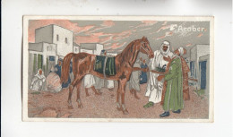Actien Gesellschaft  Pferde Rassen Araber       Serie  67 #6 Von 1900 - Stollwerck