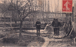 CERNAY LA VILLE(PISCICULTURE) - Cernay-la-Ville