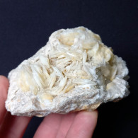 #B50 Schöne BARYT Lamellenkristalle (Barega-Mine, Iglesias, Iglesias-Carbonia, Sardinien, Italien) - Mineralien