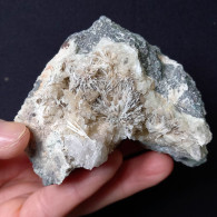 #C38 Schöne Seltene LAUMONTIT Kristalle (Cava Muradu, Osilo, Sassari, Sardinien, Italien) - Mineralien