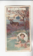 Actien Gesellschaft  Jagdtypen Hirsch Buche         Serie  23 #5 Von 1899 - Stollwerck