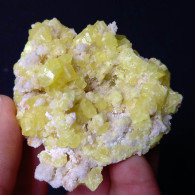 #C42 Wunderschöne SCHWEFEL Kristalle (Cozzodisi Mine, Casteltermini, Agrigento, Sizilien, Italien) - Mineralen