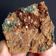 #D54 - Schöner Granat Var. HESSONIT XX (Valle Della Gava, Genua, Ligurien, Italien) - Mineralien