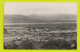 01 GEX LA FAUCILLE N°14 Panorama En 1951 - Gex