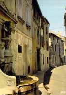 13 - Saint Rémy De Provence - La Fontaine De Nostradamus - Saint-Remy-de-Provence