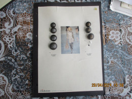 Plaques De Boutons D'une Ancienne Collection - Botones