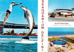 73751482 Cattolica  Provincia Rimini Delphin Seeaquarium  - Otros & Sin Clasificación