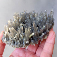 #E51 - Schöne GIPS Kristallen (Rosignano Solvay, Livorno, Toskana, Italien) - Mineralen