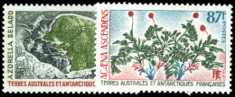 FSAT 1973 Flora Unmounted Mint. - Nuevos