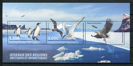 TAAF 2017  N° F822 ** ( 822/823 ) Neuf MNH Superbe Faune Oiseaux Arctique Antarctique Sterne Manchots Birds Animaux - Ungebraucht