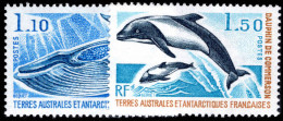 FSAT 1977 Marine Mammals Unmounted Mint. - Nuovi