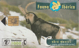 PHONE CARD SPAGNA FAUNA IBERICA (CZ1942 - Emissions Basiques