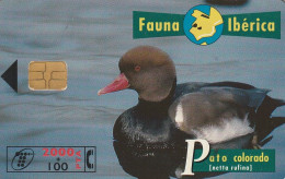 PHONE CARD SPAGNA FAUNA IBERICA (CZ1920 - Emissions Basiques