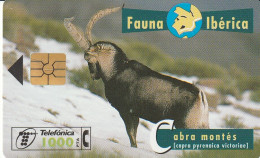 PHONE CARD SPAGNA FAUNA IBERICA (CZ1919 - Emissions Basiques