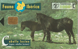 PHONE CARD SPAGNA FAUNA IBERICA (CZ1922 - Emissions Basiques