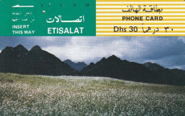 PHONE CARD EMIRATI ARABI  (CZ1912 - Emiratos Arábes Unidos