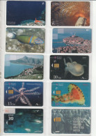 10 PHONE CARD CROAZIA  (CZ1831 - Croatie