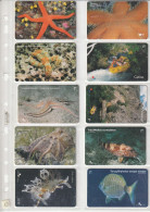 10 PHONE CARD CROAZIA  (CZ1830 - Croacia