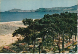 HO 16 - (66)ARGELES SUR MER - LES PINS , LA PLAGE , AU FOND LES ALBERES - CARTE COULEURS-  2 SCANS  - Argeles Sur Mer