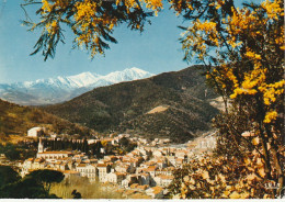 HO 16 - (66) AMELIE LES BAINS - VUE GENERALE ET LE CANIGOU  - CARTE COULEURS-  2 SCANS  - Autres & Non Classés