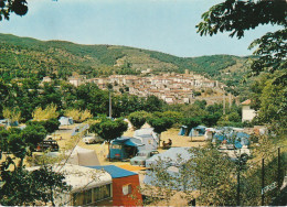 HO 16 - (66) AMELIE LES BAINS - PALALDA -  LE CAMPING MUNICIPAL  - CARTE COULEURS-  2 SCANS  - Autres & Non Classés