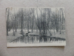 Bois De Boulogne Vue En Automne 235 Marmuse - Parcs, Jardins