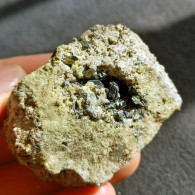 #L132 Seltene XANTHOPHYLLIT-Clintonit Kristalle (Lago Della Vacca, Breno, Brescia, Lombardei, Italien) - Minerals