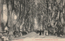 HO 21 - (66)  PERPIGNAN -  PROMENADE DES PLATANES  - 2 SCANS - Perpignan