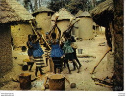 Afrique En Couleurs Groupe De Femmes Pileuses Préparant Le Repas N°4 576 éditions HOA QUI VOIR DOS - Ohne Zuordnung