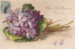 HO 22 - CARTE  GAUFREE " MES MEILLEURS VOEUX "- C . KLEIN - BOUQUET DE VIOLETTES - 2 SCANS  - Klein, Catharina