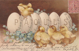 HO 26 - CARTE GAUFREE FANTAISIE " JOYEUSES PAQUES " - PORTEE DE POUSSINS , OEUFS AVEC LETTRES DOREES SUR MYOSOTIS - Pasqua