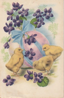 HO 26 -  CARTE FANTAISIE - POUSSINS AVEC VIOLETTES ET OEUF ENRUBANNE - 2 SCANS - Pâques