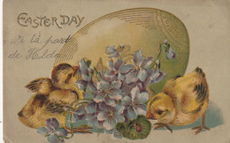 HO 26 - CARTE GAUFREE FANTAISIE  " EASTER DAY " - OEUF ET POUSSINS SUR LIT DE VIOLETTES - 2 SCANS - Easter