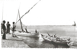 PALAVAS Sortie Des Bateaux De Pêche - Palavas Les Flots