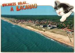 Lacanau - Vacances Relax Avec Chat - Other & Unclassified