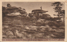 IN 3 - (67)  WANGENBURG -  SCHNEEBERG FELSEN  - ROCHERS  - 2 SCANS - Andere & Zonder Classificatie