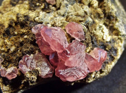 Rhodochrosite On Matrix (  4 X 3.5 X 3 Cm) -  Uchucchacua Mine - Lima - Peru - Minerals