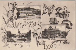 IN 8- (69) MEILLEURES AMITIES DE  LYON - CARTE FANTAISIE MULTIVUES AVEC  FLEURS ET PAPILLON - 2 SCANS  - Gruss Aus.../ Gruesse Aus...