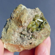 #N94 FASSAIT Kristalle (Lago Della Vacca, Cornone Di Blumone, Breno, Provinz Brescia, Lombardei, Italien) - Mineralen