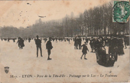 IN 9 - (69)  LYON - PARC DE LA TETE D'OR - PATINAGE SUR LE LAC - LE TRAINEAU - PATINEURS -  2 SCANS - Lyon 6