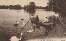 IN 9 - (69)  LYON -  UN COIN DU LAC AU PARC DE LA TETE D'OR - BARQUE AVEC CANOTEURS - CYGNES  - 2 SCANS  - Lyon 6