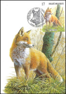 Delcampe - CM/MK - 2748/2751° - Mammifères Des Ardennes/Zoogdieren Van De Ardennen - Hotton - 21-08-1999 - BUZIN - SIGNÉ/GETEKEND - Hunde
