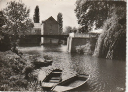 IN 14 -(72) MALICORNE SUR SARTHE -  BORDS DE LA SARTHE  ET LE MOULIN  - 2 SCANS - Malicorne Sur Sarthe