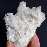 #O66 Schöne QUARZ XX (Castagnola, Val D'Aveto, Piacenza, Italien) - Minerales