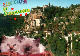 Gros Calins De Rocamadour Avec Chat - Rocamadour