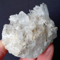 #O67 Schöne QUARZ XX (Castagnola, Val D'Aveto, Piacenza, Italien) - Mineralien