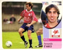 108 Fernando D'Amico - LOSC Lille - Panini France Foot 2003 Sticker Vignette - Französische Ausgabe