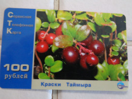 Russia Phonecard - Russie