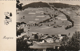 IN 21 - (74)  MEGEVE -  LES PENTES DU JAILLET ET SES NOUVEAUX CHALETS - 2 SCANS  - Megève